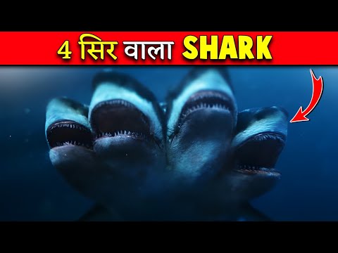 4 सिर वाला शार्क🦈| दुनिया का सबसे खतरनाक Shark🦈😱| Four Headed Shark Facts🤯| Mr. Facts #shorts
