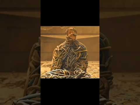 A Deadly Snake Trap: Only One Girl Survives the Chaos! #shorts #viral #movie