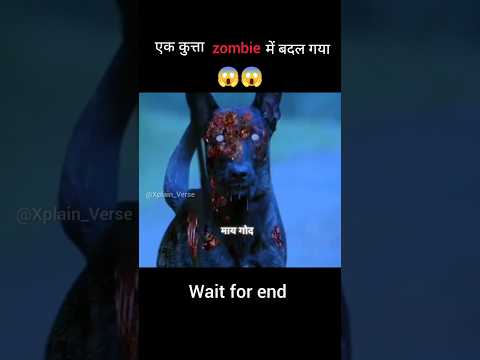 A Dog turned into a Zombie Dog😰| movie explained in hindi #shorts