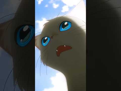 A Whisker Away