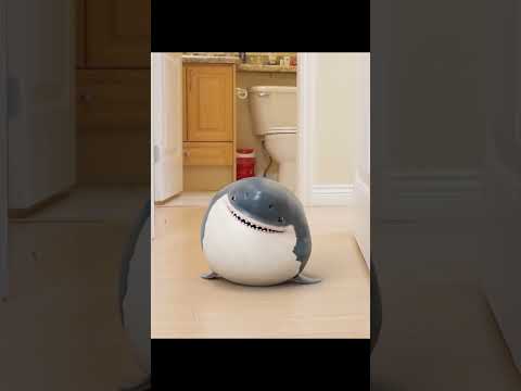 Baby Chubby Shark Can't Find Me!
