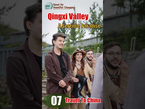 Chongqing Tourism Vlog 07 | Qingxi Valley: A Serene Paradise! | #foreignerinchina #chinatourism