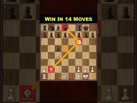 Danish Gambit at its Best | Chess Opening Tricks to WIN Fast #shorts