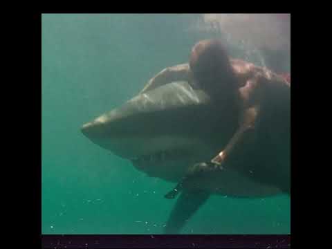 Deep Blue Sea (1999) | Shark Movie