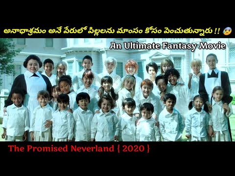 అక్కడనుంచి వాళ్ళు ఎలా తప్పించుకుంటారు….?? | Japanese Movie Explained In Telugu | Filmy Overload