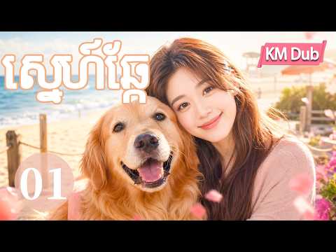ឆ្កែវីរបុរស 01 | រឿងចិន | រឿងភាគចិន | រឿងភាគចិននិយាយខ្មែរ | Full HD 1080p