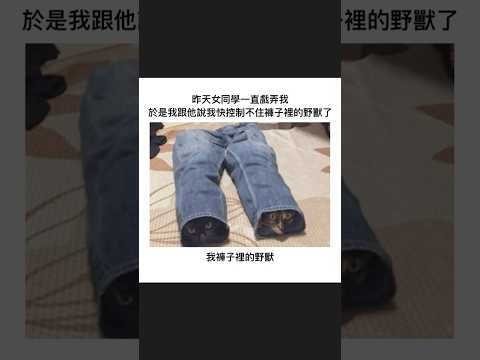 被女同學戲弄｜梗圖｜迷因｜諧音｜動漫 ｜日常