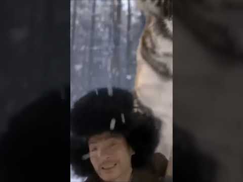 被老虎偷袭，功夫小子徒手击杀老虎⚔️ 每天更新最精彩的電視劇！⚔️ 功夫 | Kung Fu | 抗日 | 抗戰 | 狙击