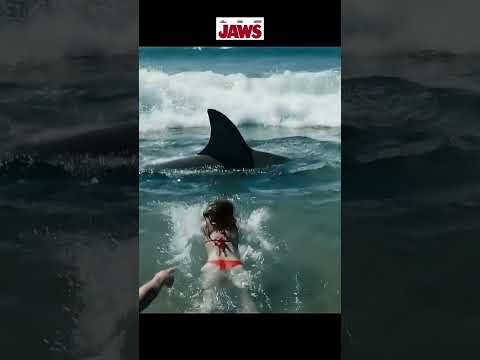 JAWS – The Shark Attack That Changed Cinema Forever 1975 Classic