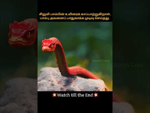 little girl saves the red snake, and the snake decides to protect her. |chinese drama #shorts