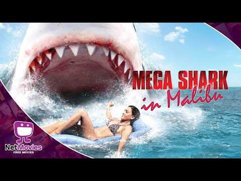 MALIBU SHARK ATTACK🍿 Free Full Movie in English 🎬 ACTION | Netmovies – Free Movies