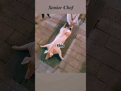 Man is a top Chinese cuisine chef. #action #viralvideo