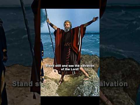 #movie #film GOD'S FIRE VS. EGYPT'S ARMY! – Moses’ Faith Splits the Sea!"