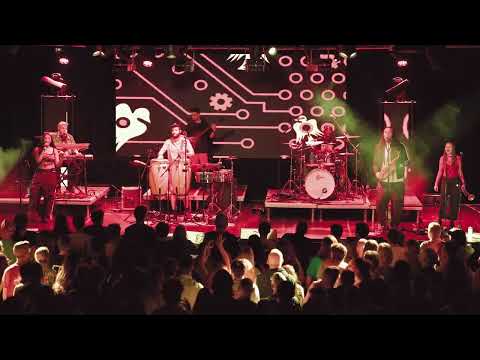 Nubiyan Twist clip 6/8