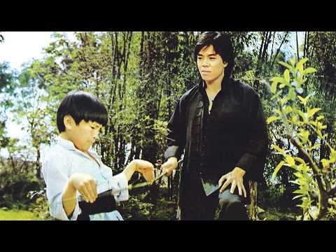 Secret Of Fist Fighter Il Best Chinese Action Kung Fu Movies In English