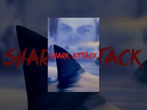 Shark Attack