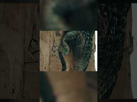 The crocodile that never gives up! | Mega Crocodile | YOUKU MONSTER MOVIE