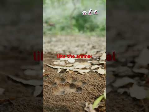 THE Huntng Mystries Of Ghanaian Cursed Forest #shorts #horror