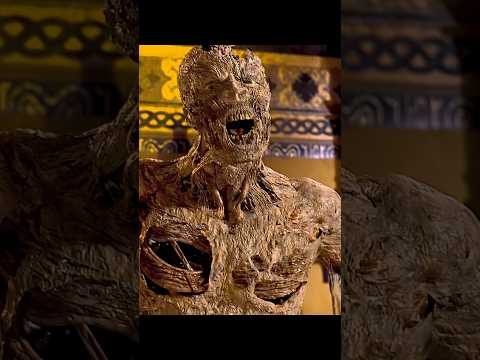 The Mummy (1999) | Evelyn’s Mistake: Awaking Imhotep and the Cat Interruption 😱💀🐱