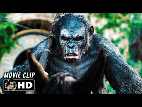 Apes Do Not Want War Scene | DAWN OF THE PLANET OF THE APES (2014) Sci-Fi, Movie CLIP HD