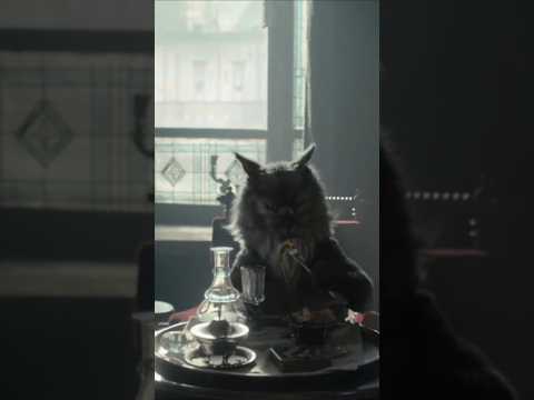 «Не беспокойтесь, кот этот мой!» 🐈‍⬛