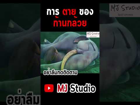 การตายของก้านกล้วย