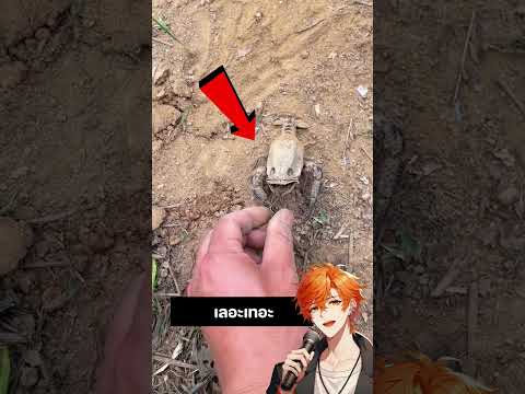 สัตว์ประหลาดอะไรแบบนี้! 😨 #shorts #viral #funny #funnyvideos