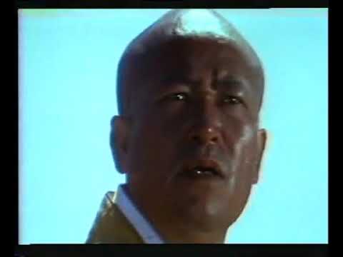 หนังจีนกังฟูกำลังพายในพากย์ไทย