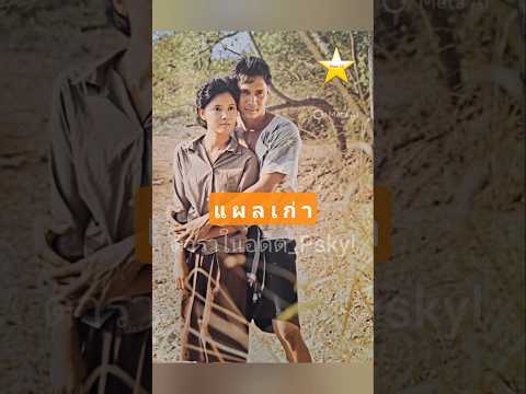 แผลเก่า 2520 สรพงศ์ ชาตรี – นันทนาเงากระจ่าง #ภาพยนตร์ไทย
