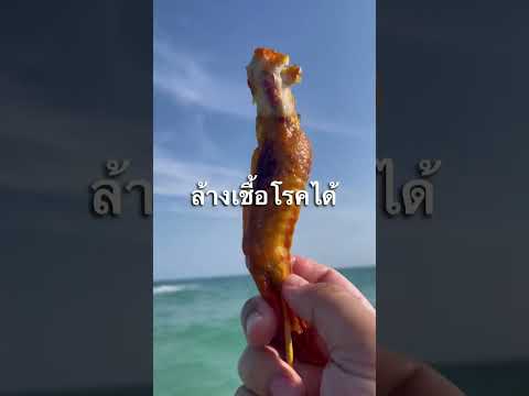 แย่งไก่หมา มากินต่อ 🍗 #กินโชว์ #สายประหยัด #ประหยัด #เกร็ดความรู้ #รู้หรือไม่