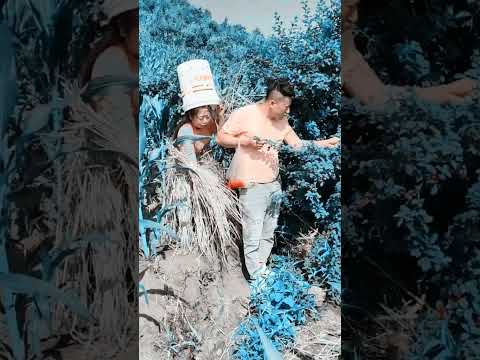 រឿង hollywood China Movie Speak Khmer: A Great Way To Learn The Language