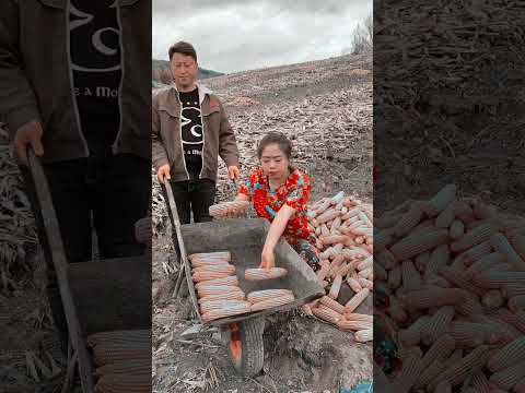 រឿង hollywood China Movie Speak Khmer: A Great Way To Learn The Language #radheshyam