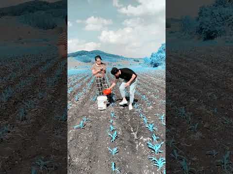 រឿង hollywood China Movie Speak Khmer: A Great Way To Learn The Language #radheshyam