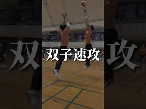 【完全再現】ハイキュー宮兄弟のマイナステンポやってみた🏐🔥
