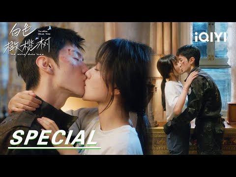 EP31-33 Special: This time, let's not part ways again | The White Olive Tree 白色橄榄树 | iQIYI