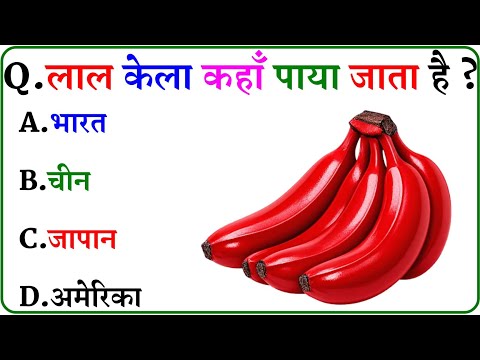 GK Question || GK In Hindi || GK Question and Answer || GK Quiz ||