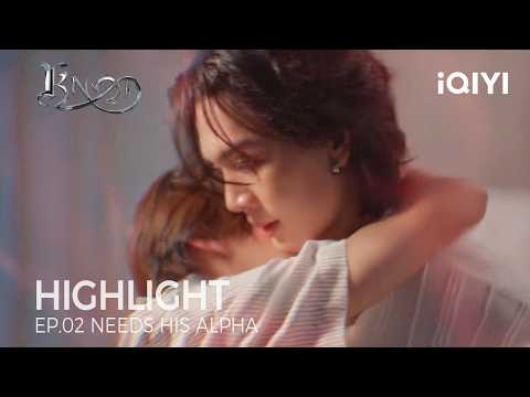 KNOT | Highlight EP.02 | Without His Alpha's Scent, the Omega Collapsed | iQIYI Unlabeled