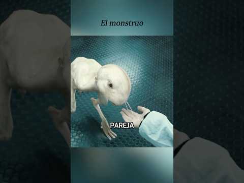 Los científicos han creado un monstruo. #movie #film  #drama