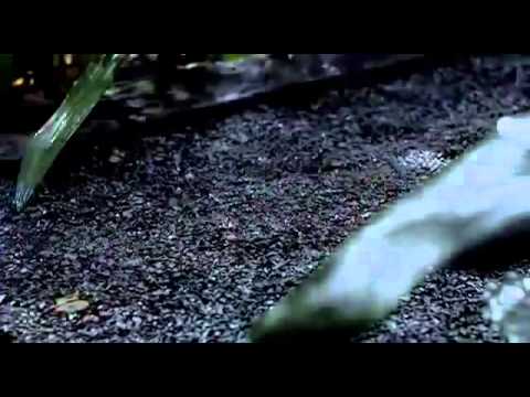 My Ex 2 Best movies horror thai full HD, English Subtitles