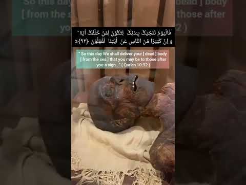 Pharaoh Mummy in Egypt | Firaun Mummy In Museum|Subscribe For More|Islamicquotes | #Islamicquotes