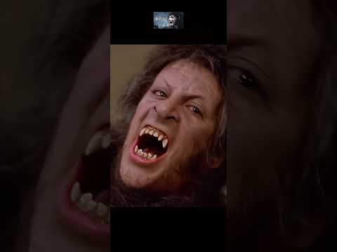 The best werewolf movie – An American Werewolf in London