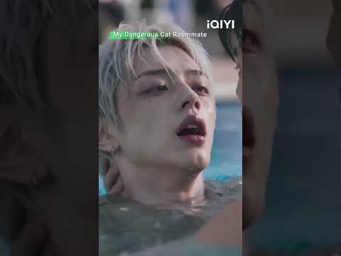 The Moment He Fell Into the Water, He APPEARED! #iQIYI #bl #MyDangerousCatRoommate