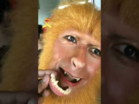 the monkey king