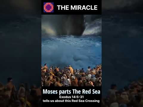 The Ten Commandments (1956) Moses Parts The Red Sea #moses #shorts #redsea