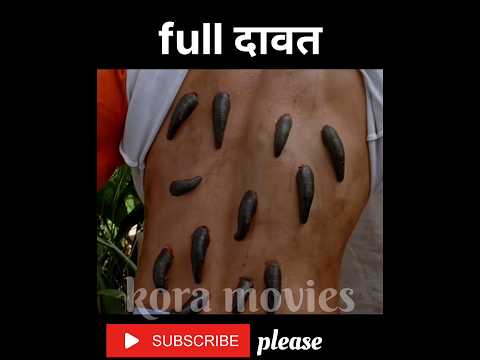 visit of forest hollywood movie explain in hindi #shorts #shortsfeed