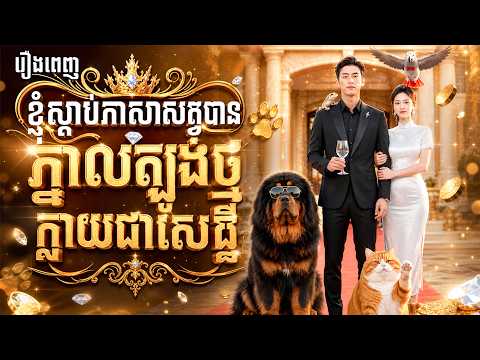 មួយរឿងពេញ | ខ្ញុំស្ដាប់ភាសាសត្វបានភ្នាលត្បូងថ្មក្លាយជាសេដ្ឋី | LT Short Film |និយាយភាសាខ្មែរ