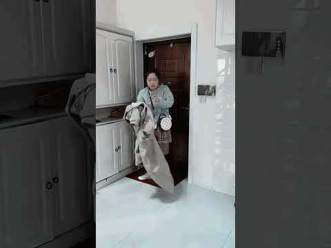 រឿង hollywood China Movie Speak Khmer: A Great Way To Learn The Language
