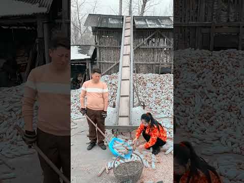 រឿង hollywood China Movie Speak Khmer: A Great Way To Learn The Language