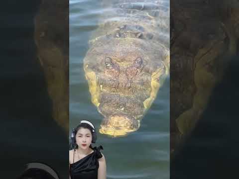 ស្មានតែដុំថ្ម #darapovkh #darapovTV #darapovlove #កម្សាន្តសាន្ត #សម្រាយរឿងល្បី #កប្លែងខ្មែរ #shorts