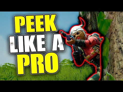 Learn How to Peek Like a PRO! | PUBG PC Tips & Tricks 2025